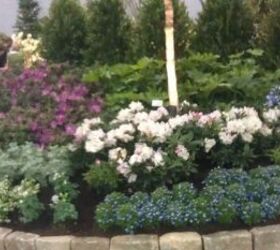 pics from 2013 southeastern flower show in atlanta, flowers, gardening