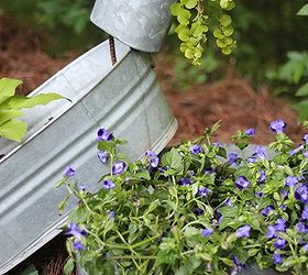 unexpected beauties galvanized tubs and a pool pump turned planter, flowers, gardening, repurposing upcycling, Stack the buckets and fill with thriller and spiller plants for maximum effect