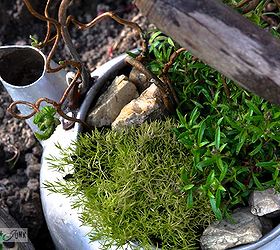 when old kettles turn into rock gardens, gardening, repurposing upcycling, Each kettle got two rock garden plants plus were further enhanced with some sticks and stones for a truer rock garden feel