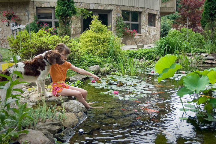 Beautiful Backyards waterscapes create beautiful backyards | hometalk Beautiful Backyards waterscapes create beautiful backyards | hometalk
