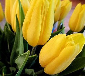 diy april showers gathering vase bouquet, flowers, gardening, home decor, Tulips
