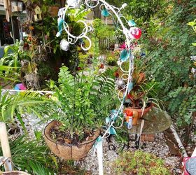 my sanctuary, gardening, pets animals