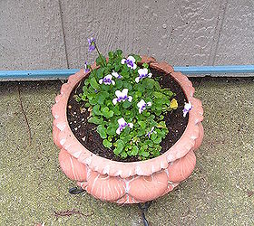 container gardening, container gardening, gardening