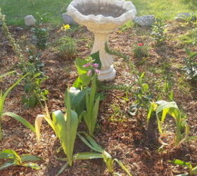 another garden area, gardening, As of May 14 2013