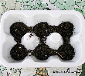 this easter hostess gift keeps on giving, gardening, succulents, Fill part way with cactus soil