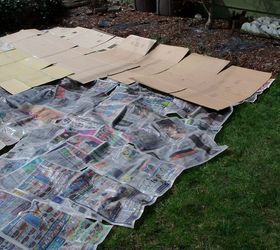 transforming my backyard into a secret garden, flowers, gardening, landscape, outdoor living, perennial, covered tthe newspaper with cardboard