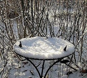 January Winter Garden Hometalk