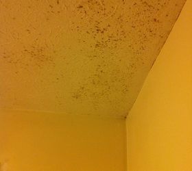 photos of the master bathroom that i m currently working on as you can see there is, bathroom ideas, electrical, flooring, lighting