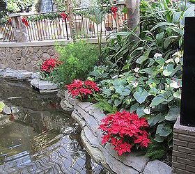 some pics from my vacation these are pictures from the opry gaylord hotel in, gardening, landscape