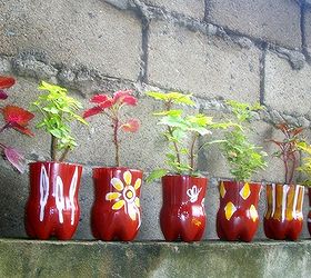 upcycled pet bottles as pretty coleous planters, crafts, gardening, repurposing upcycling, Upcycled PET bottles as Pretty Coleous planters