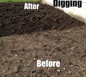 what is the difference between a shovel and a spade, gardening, tools, Double Digging is done with a shovel A traditional practice that s better than your rototiller