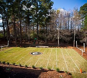 custom mini field of dreams, decks, landscape, outdoor living, Day time picture of mini field