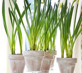 make your spring decor dual purpose, easter decorations, home decor, seasonal holiday decor, A simple Spring or Easter Centerpiece