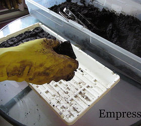 using a soil blocking tool for easy seed starting, container gardening, gardening, tools, The soil blocks stay nice and firm so you can move them around as needed This is helpful if some seedlings get much taller than others under the grow lights and need to be relocated