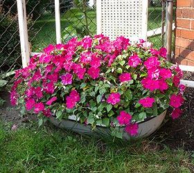 gardening in repurposed planters, gardening, repurposing upcycling