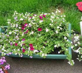 container gardening, container gardening, gardening