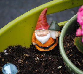 how does your fairy garden grow, gardening, But don t forget a gnome or two wink