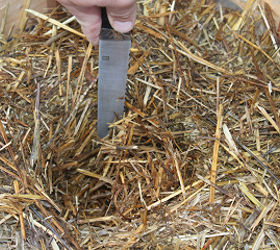 the straw bale pallet crate garden simple attractive and cheap, diy, flowers, gardening, how to, pallet, repurposing upcycling, urban living, Next use a sharp knife reciprocating saw or shovel to dig out a 6 to 8 planting hole