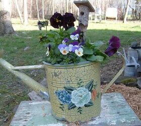 pics from my yard, gardening, outdoor living, Love watering cans