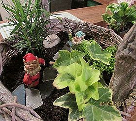 making fairy gardens awaiting for spring to arrive, gardening