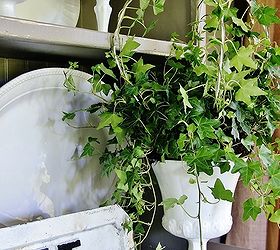 how to make a topiary from a coat hanger, crafts, gardening, repurposing upcycling, Create a topiary using coat hangers and ivy It is such a fun easy project that takes under 30 minutes