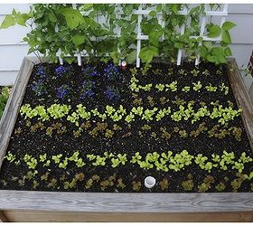 fastest way to plant a raised garden bed, gardening, raised garden beds, Garden Stamped American Flag