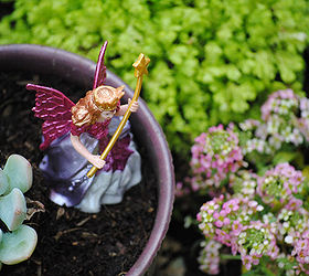 how does your fairy garden grow, gardening, Adding in fairies makes it an official fairy garden