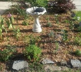 another garden area, gardening, As of May 14 2013