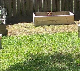 raised garden beds, diy, gardening, raised garden beds, woodworking projects