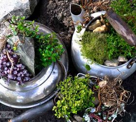 the hometalk meetup that loved on junk and africa, gardening, Here s how they looked once I set them in the garden