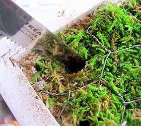 how to make a living plant picture frame, crafts, succulents, I made holes with a knife