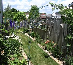 little city garden before and afters, flowers, gardening, perennials, ponds water features, raised garden beds, urban living, Year 2 This is the arbour before I planted the butternut vine