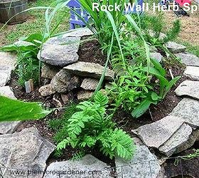 how to build a herb spiral garden, diy, flowers, gardening, homesteading, how to, perennial, Rock wall herb spiral Perfect design for adding a tall thriller at the top fillers in the middle and spillers over the edges and in cracks up the walls
