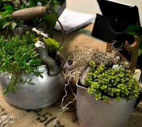 the hometalk meetup that loved on junk and africa, gardening, Neighbour Torrie helped to junk up some small kettle planters Spanish moss was used to cover the soil They were so cute