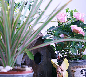 hoping a mini greenhouse inspires a green thumb, gardening, terrarium, fairy garden