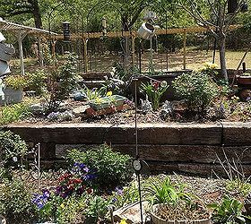 getting my terrace planted and flowers in old pots, flowers, gardening, terrace photo 2 trying to get it all in
