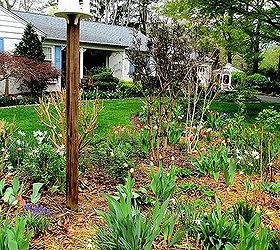 april blooms, flowers, gardening, succulents, Front island bed after a spring rain