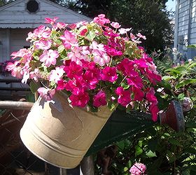 gardening in repurposed planters, gardening, repurposing upcycling