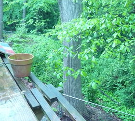 getting things ready for spring, gardening, We live in a tree house The limb is almost touching our deck about 12 up