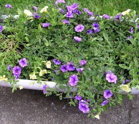 container gardening, container gardening, gardening