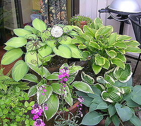 container gardening, container gardening, gardening