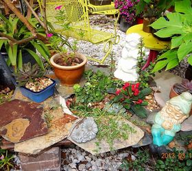 my sanctuary, gardening, pets animals, suculents and rocks