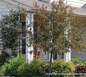 a privacy porch offers relaxation, landscape, outdoor living, porches, A simple lattice panel combined with a strategically placed tree gives just enough privacy to this cottage style home