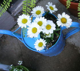 container gardening, container gardening, gardening