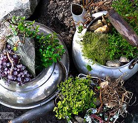 when old kettles turn into rock gardens, gardening, repurposing upcycling, Kick your rock gardens up a notch and plant them in something instead I chose a collection of old kettles Loving the elevation and junky detail