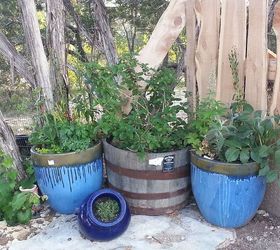 update on my first spring garden, container gardening, flowers, gardening, first attempt at containers