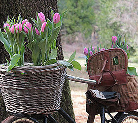 vintage bicycle planter for spring, gardening, repurposing upcycling