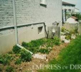 little city garden before and afters, flowers, gardening, perennials, ponds water features, raised garden beds, urban living, Year 1 I don t have many photos of the side garden at the beginning because I never thought it would amount to anything