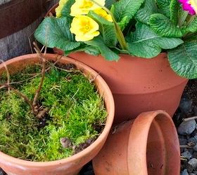 kick start your spring garden, flowers, gardening, Fill terracotta pot s with a little soil and top with moss
