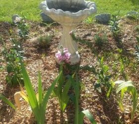 another garden area, gardening, As of May 14 2013